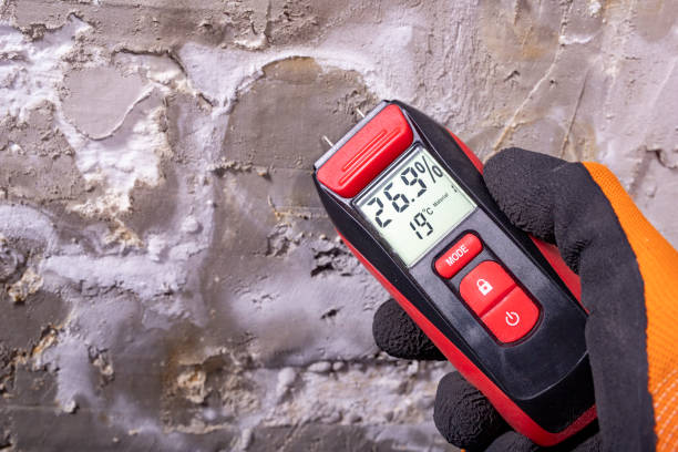 Trusted Spotswood, NJ Mold Removal Experts