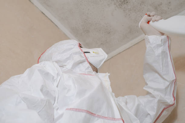 Best Affordable Mold Removal  in Spotswood, NJ